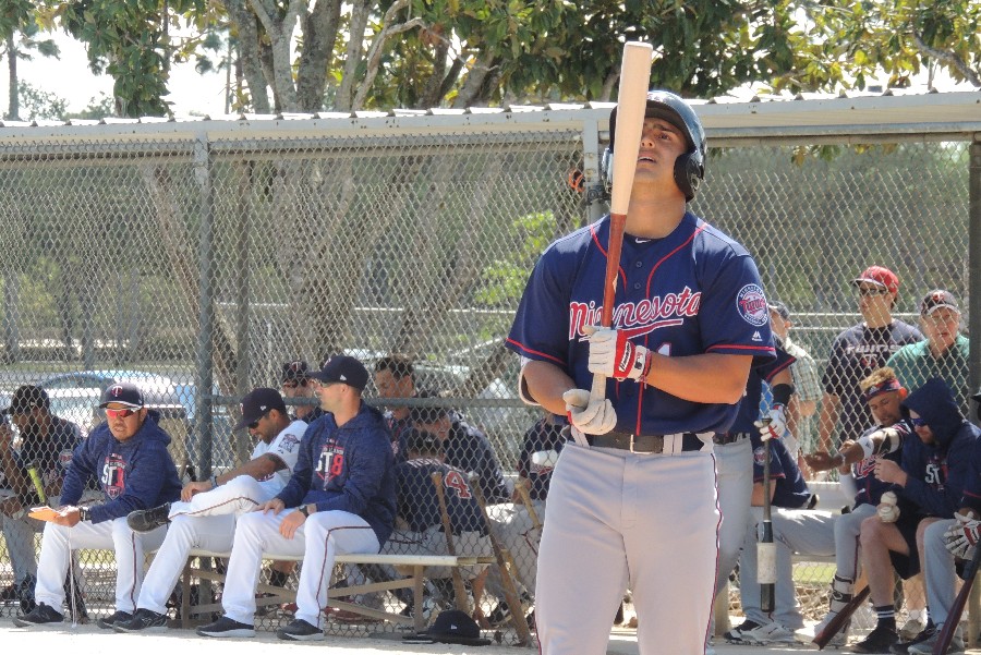 Twins Minor League Report 5 8 Slegers And A Slugfest Minor Leagues