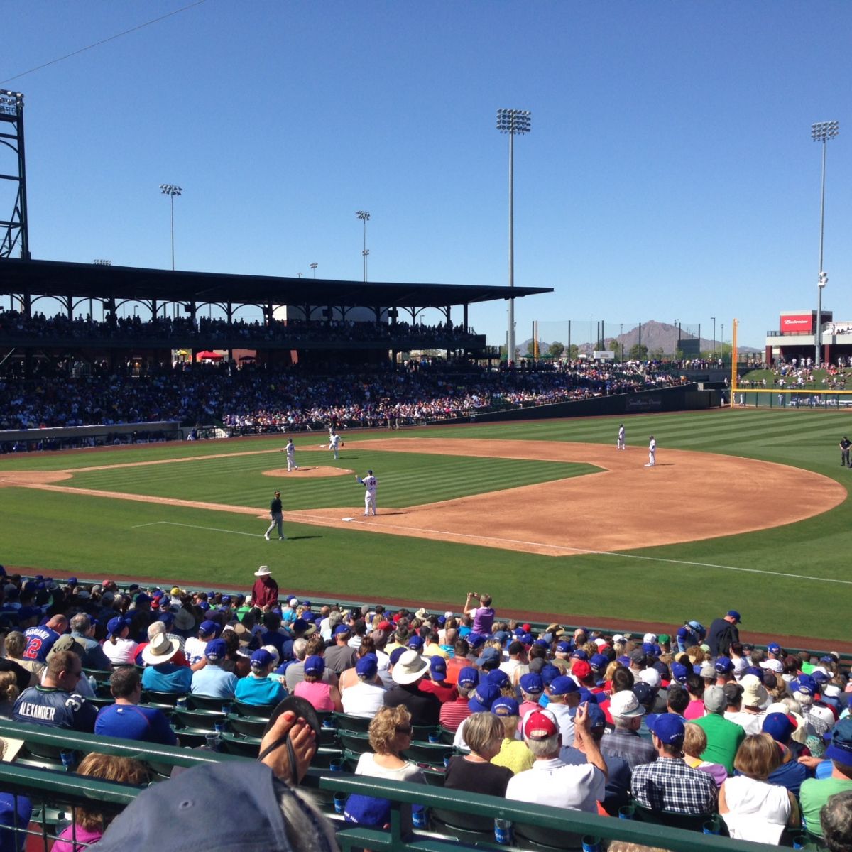 Spring training in Phoenix Twins Daily