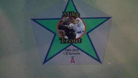 Mike Trout Star.jpg