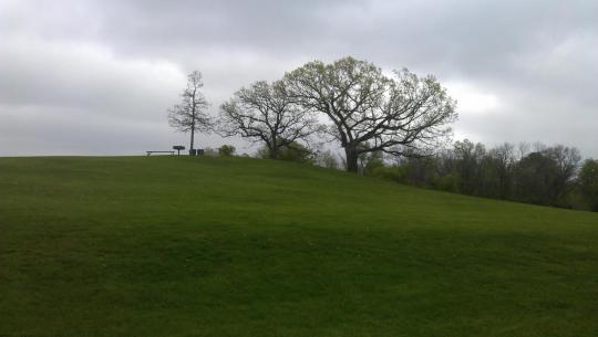 Hill_of_Three_Oaks.jpg
