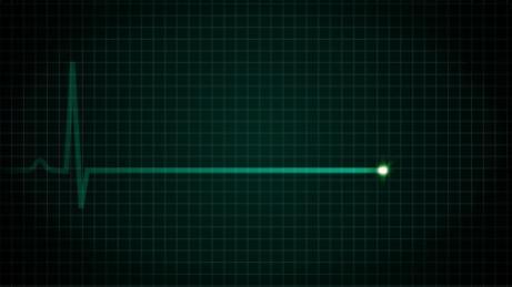 flatline.jpg