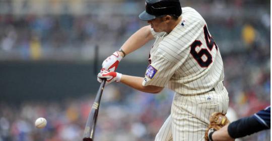 Chris Parmelee 3.jpg