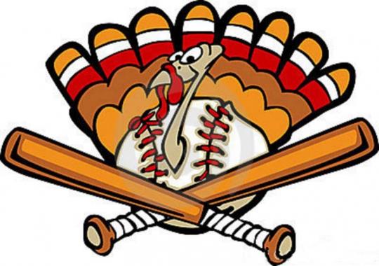 turkey-baseball-11658716.jpg