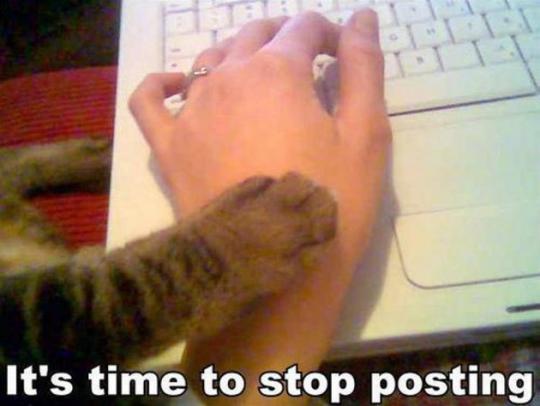 post-1427-140639201058_thumb.jpg
