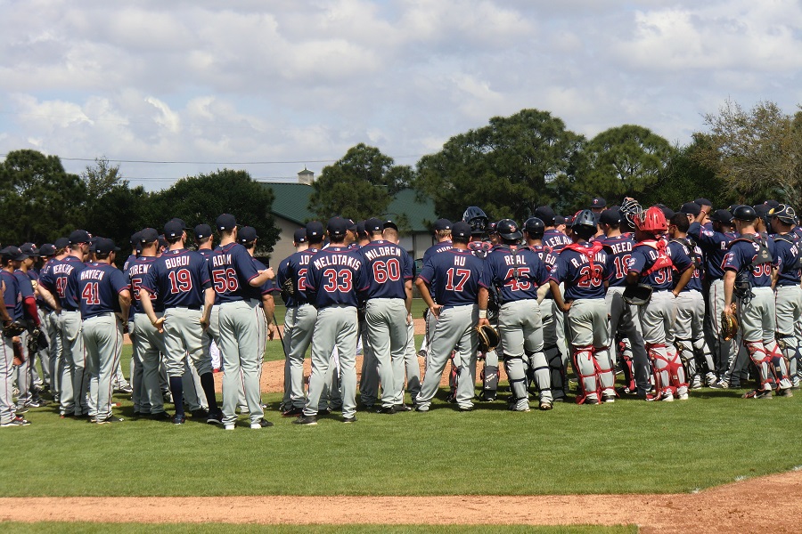 More information about "Twins Minor League Leader Board (Through July 17)"