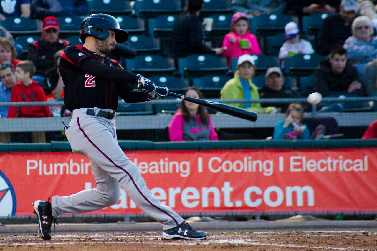 More information about "Twins Minor League Hitter Of The Month - June 2017"