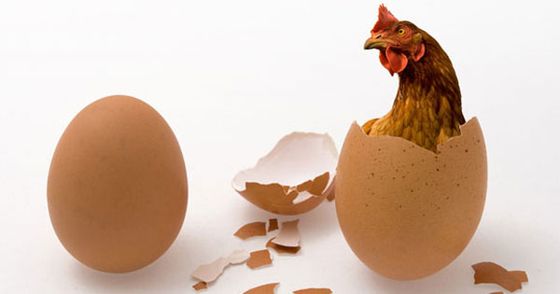 More information about "Game Thread: Twins v Diamondbacks, 8/18 @ 7:10pm CT"