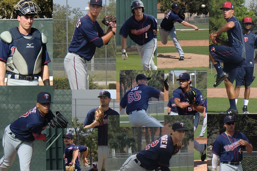 Twins Minor League Leaderboard (Through Games On July 12)