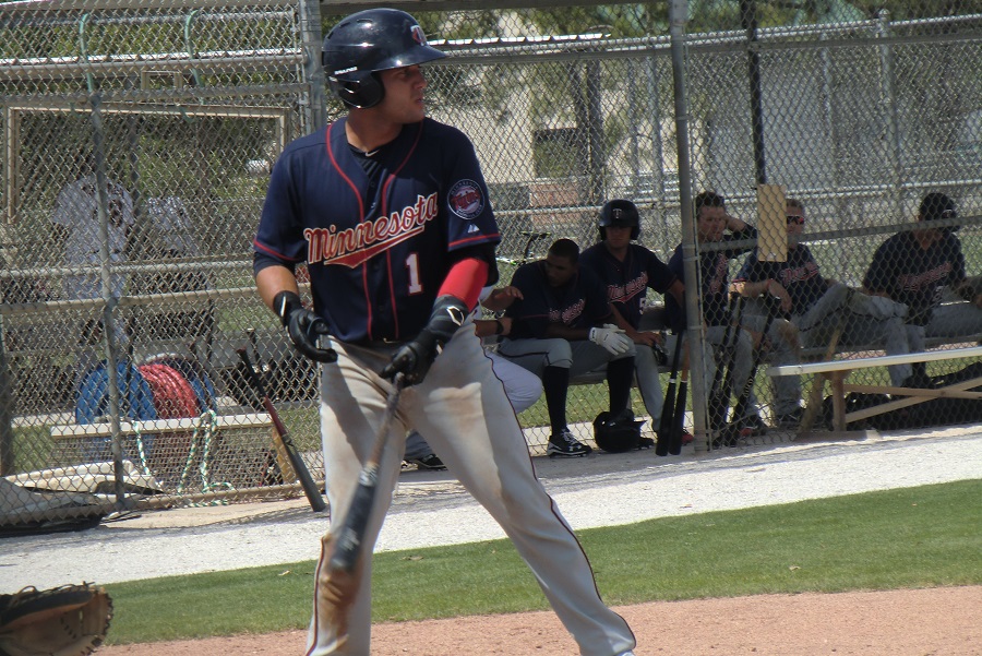 More information about "Twins Minor League Report (4/18): Valera Leads Kernels to Victory"