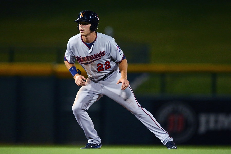 Twins Minor League Hitter of the Month - May 2015