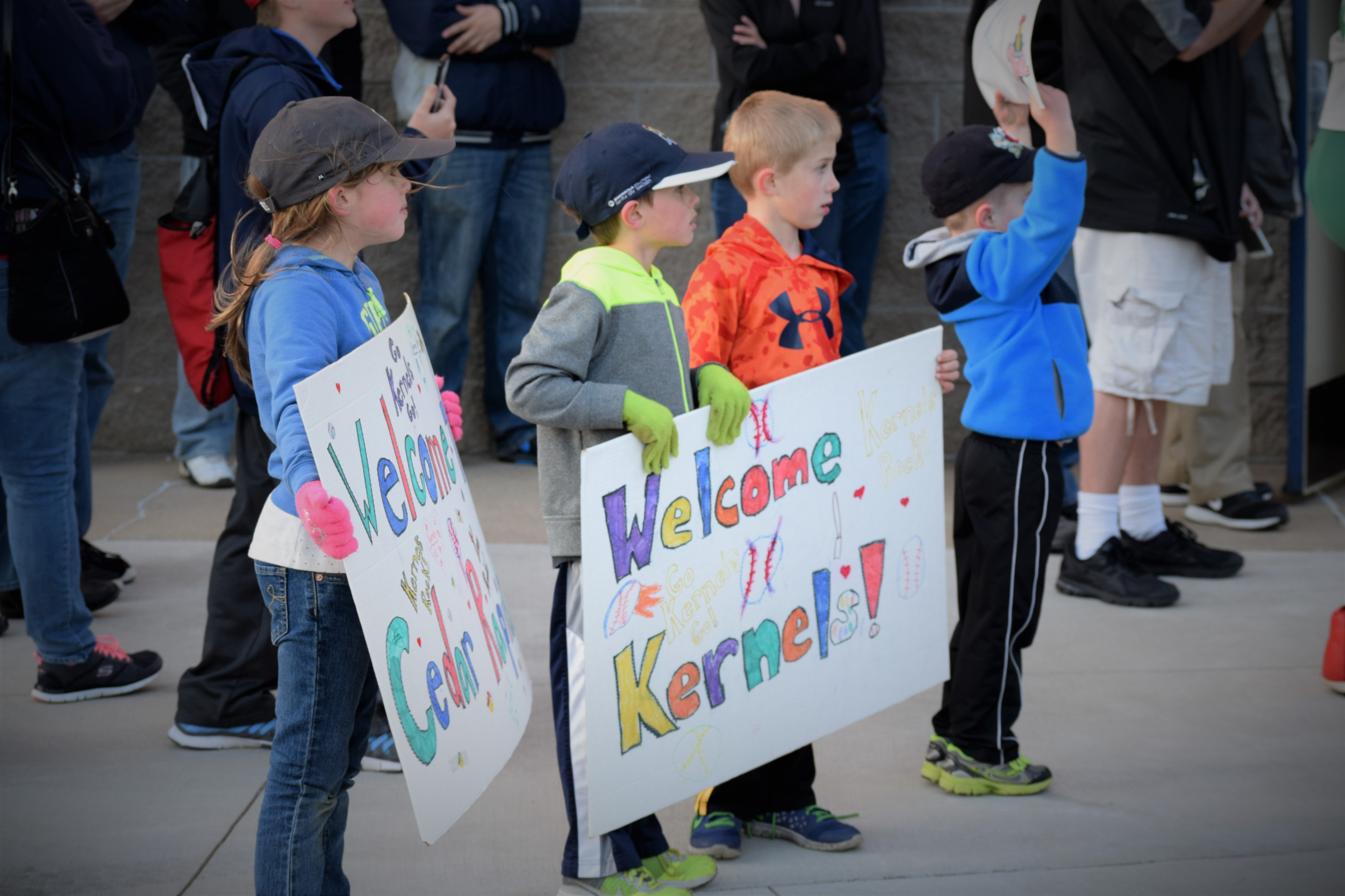 More information about "Kernels Greeted By Fans And Cold"