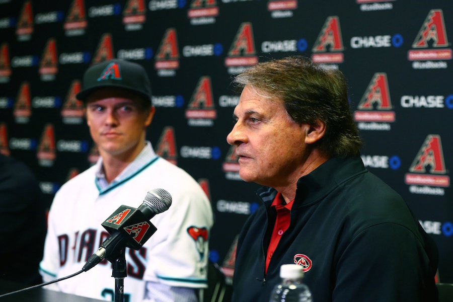 More information about "Arizona's Cautionary Tale"