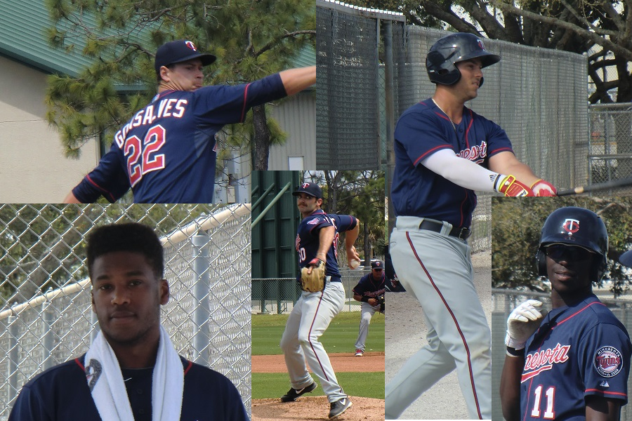 Twins Minor League Report (4/26): Berrios, Walker, Palka, Gonsalves, More