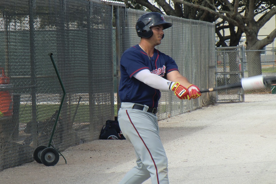 More information about "Twins Minor League Hitter Of The Month: June 2016"