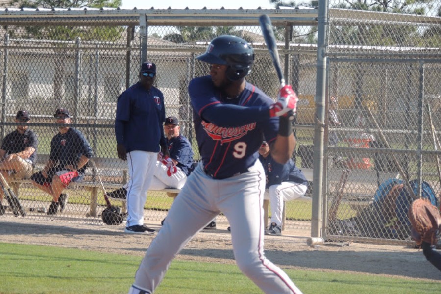 More information about "Twins Minor League Report (8/19): Niko Goodrum Homers, Drives in 6 Runs"