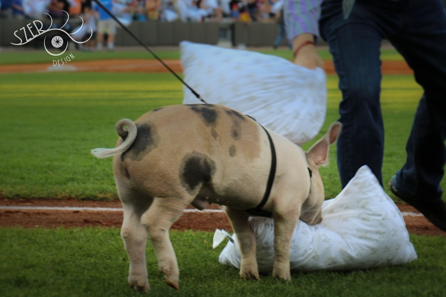 More information about "St. Paul Saints Baseball, Fun, & Pillows"