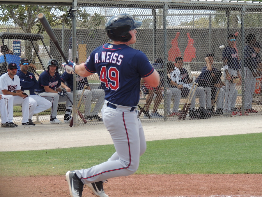 More information about "Twins Minor League Report (7/10): Royce Rakes, Albee Blasts, Edwar Deals"