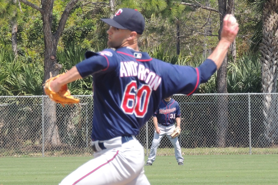 More information about "Twins Minor League Relief Pitcher of the Month - August 2017"