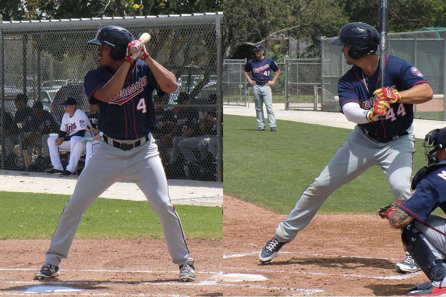 More information about "Twins Minor League Hitter Of The Month - April 2016"