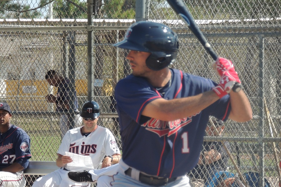 More information about "Twins Minor League Report (8/8): Gran(d)ite Slam, Sammons Scoreless"