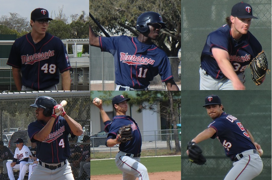 Twins Minor League Leaderboard (through 4/16)