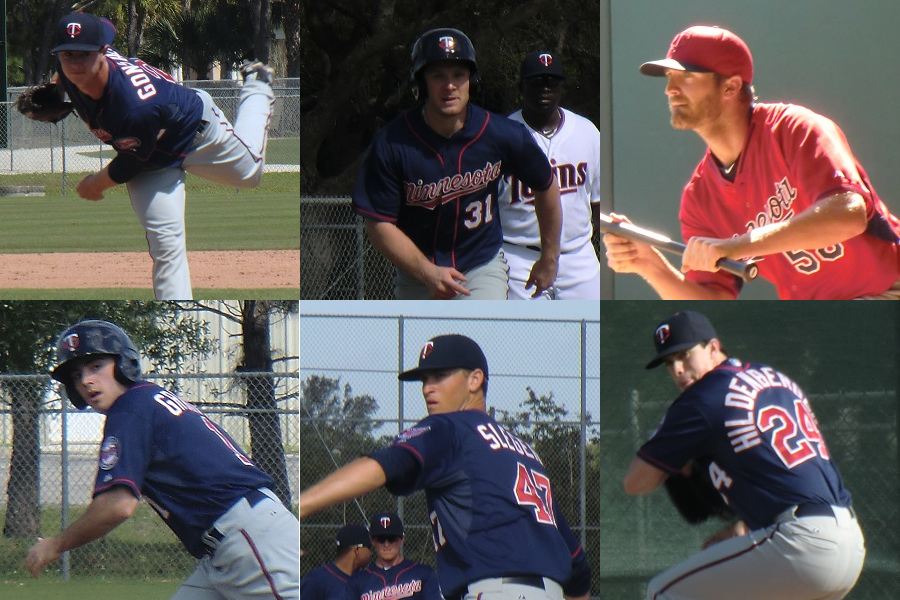 More information about "Twins Minor League Leader Board (Through May 29)"