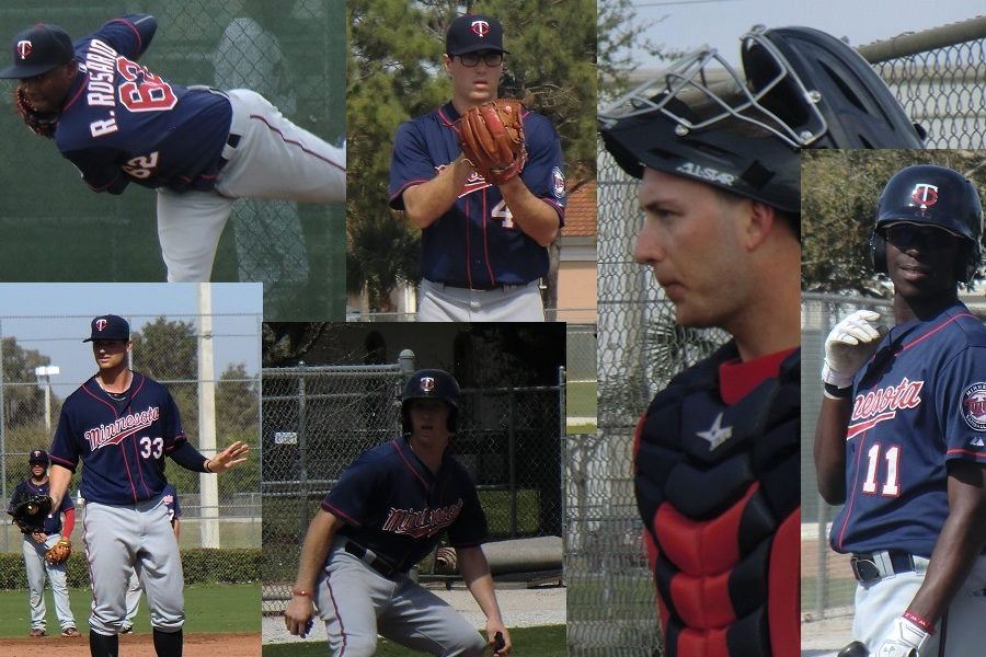 More information about "Twins Send Six To Arizona Fall League"