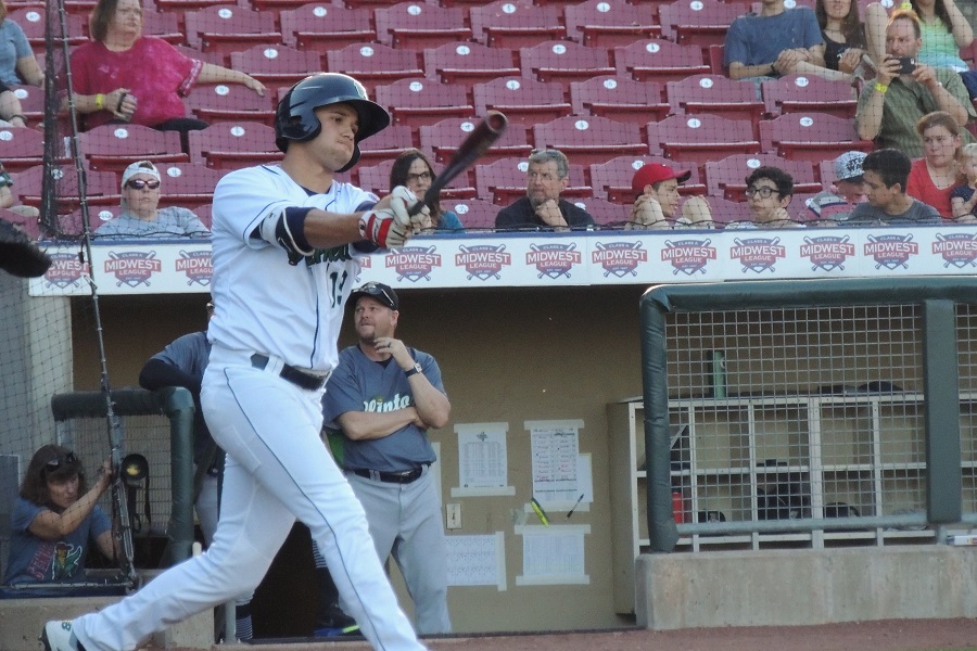 More information about "Twins Minor League Report (5/28): Memorial Day Memories Made?"