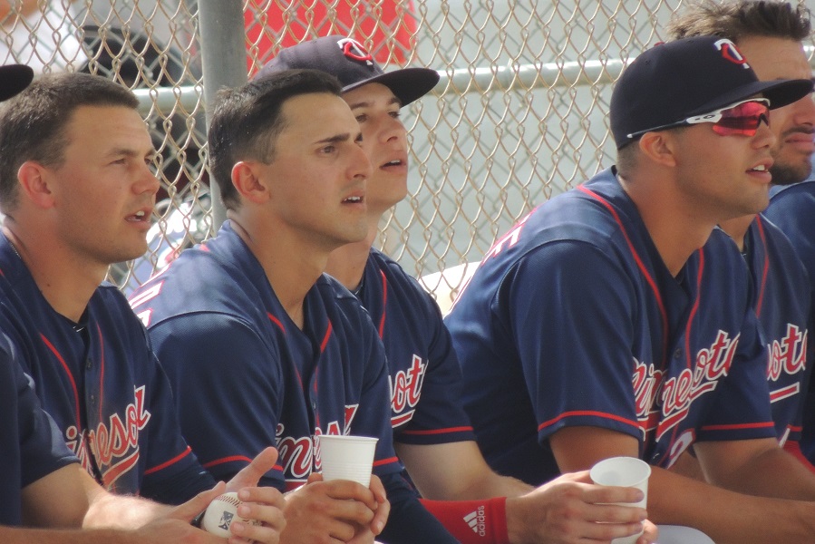 Seth's Preseason Top 20 Minnesota Twins Position Player Prospects
