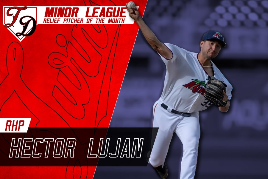 More information about "Twins Minor League Relief Pitcher of the Month - May 2019"