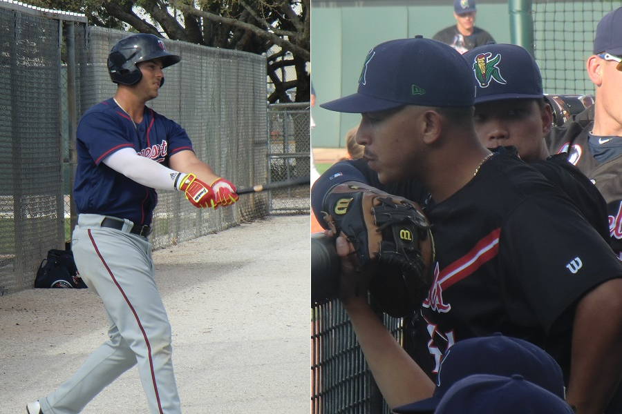 More information about "Twins Minor League Report (6/1): Palka Powers Lookouts, Romero Deals Again"