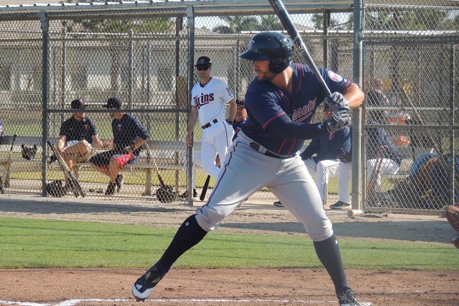 More information about "Twins Minor League Report (8/2): Palka Power, Enlow Excels, Romero Rocks"