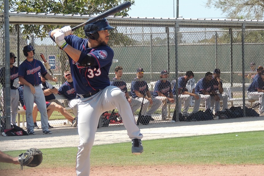 More information about "Twins Minor League Report (5/23): Wheeler And Wiel Lead The Way"