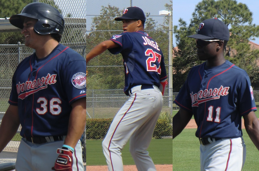 More information about "Twins Minor League Report (6/15): Vargas Powers Wings,  Jorge Dominates Again"