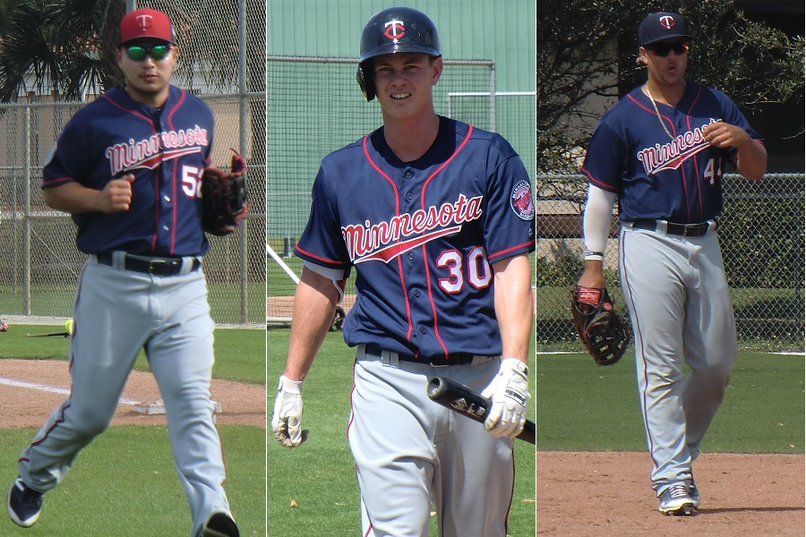 More information about "Twins Minor League Report (7/23): Red Wings Get Offensive"