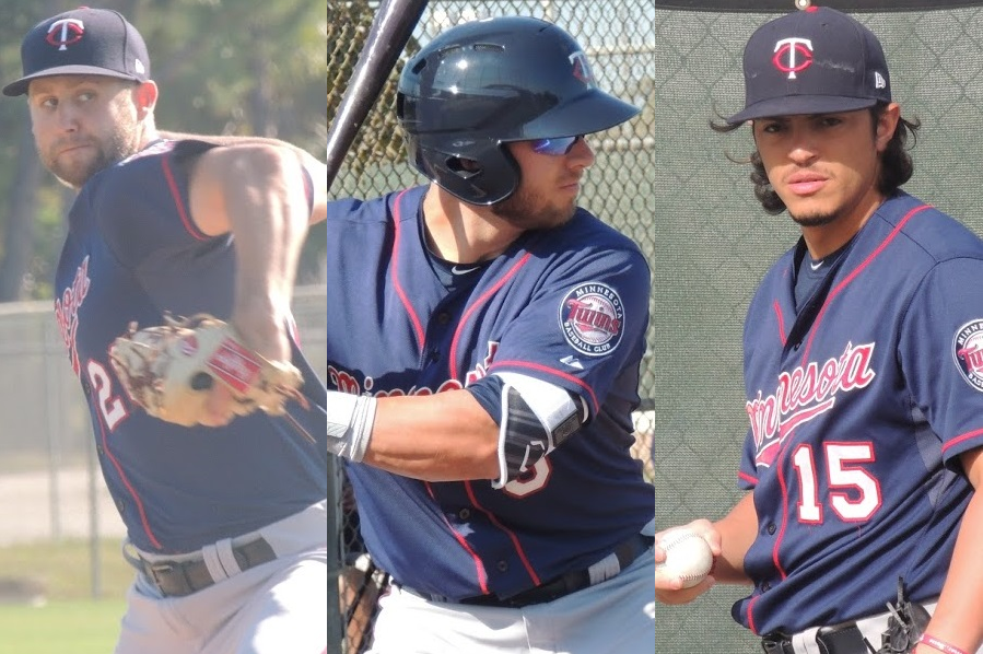 More information about "Twins Minor League Leaderboard (Through June 10, 2017)"