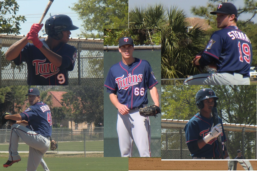 More information about "2015 Twins Daily Top Prospect Summary"