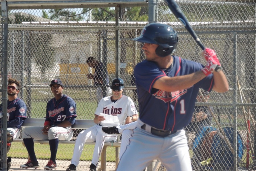 More information about "Twins Minor League Report (5/27): Granite Gets Last Laugh, Hits Walk-Off Winner"