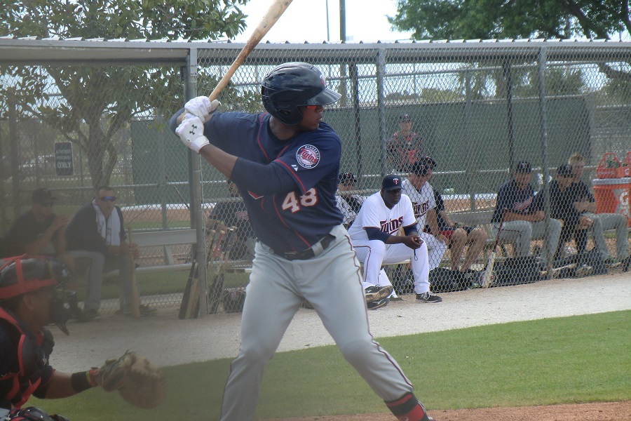 More information about "Twins Minor League Report (4/18): The Power Of Walker"