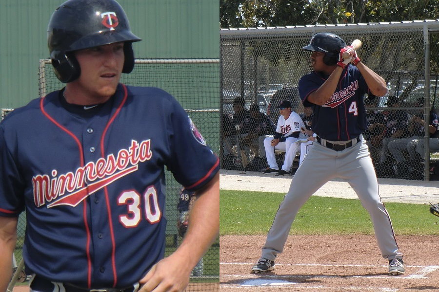 Twins Organizational Depth Chart - The Outfield