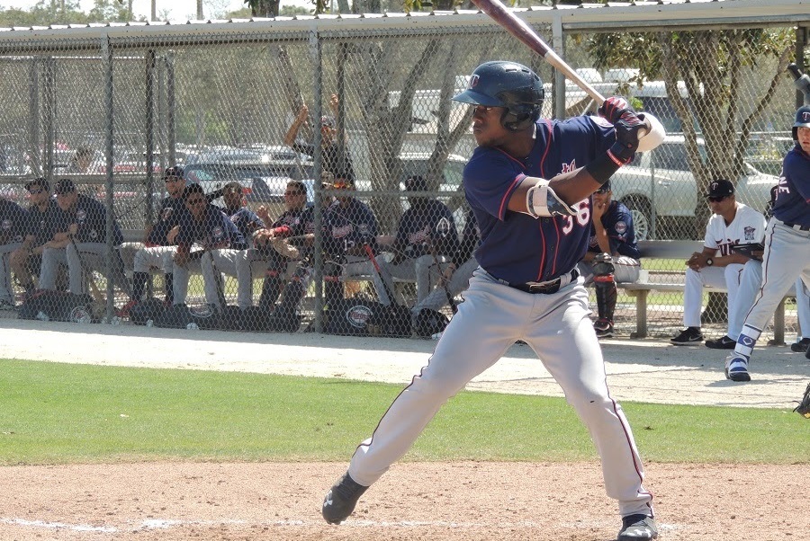 More information about "Twins Minor League Hitter of the Month - August 2017"