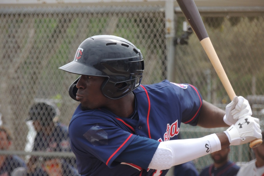 More information about "The Next Minnesota Twins - 2019"