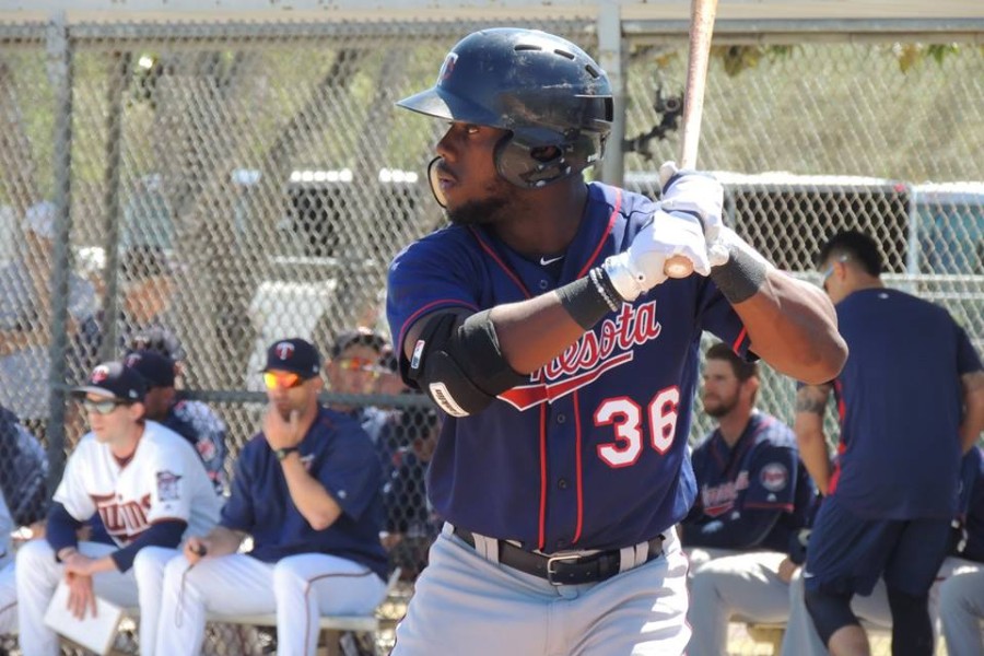 More information about "Twins Minor League Report (6/2): Yabba Da-Baddoo!"