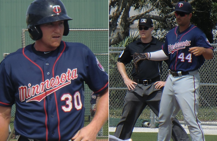 More information about "Twins Minor League Report (4/24): Palka's Power And Pitching Shutouts"