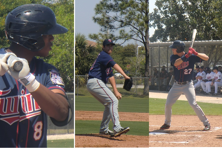 More information about "Twins Top Prospects Part 4: 11-20 (Preliminary)"