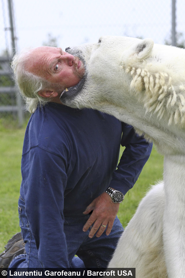 More information about "Game Thread: Twins @ Padres, 8/1@9:10pm CT"