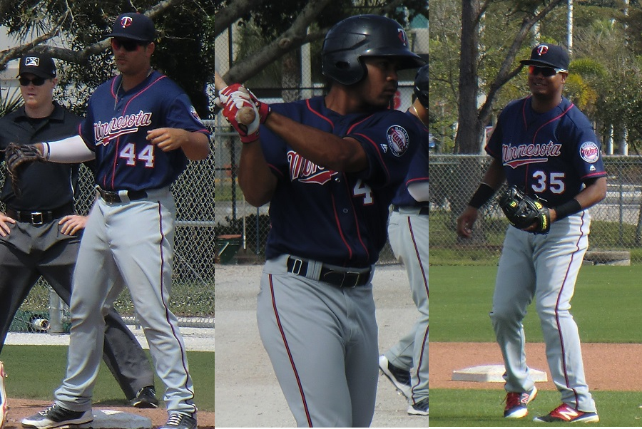 Twins Minor League Leaderboard (through 8/6)