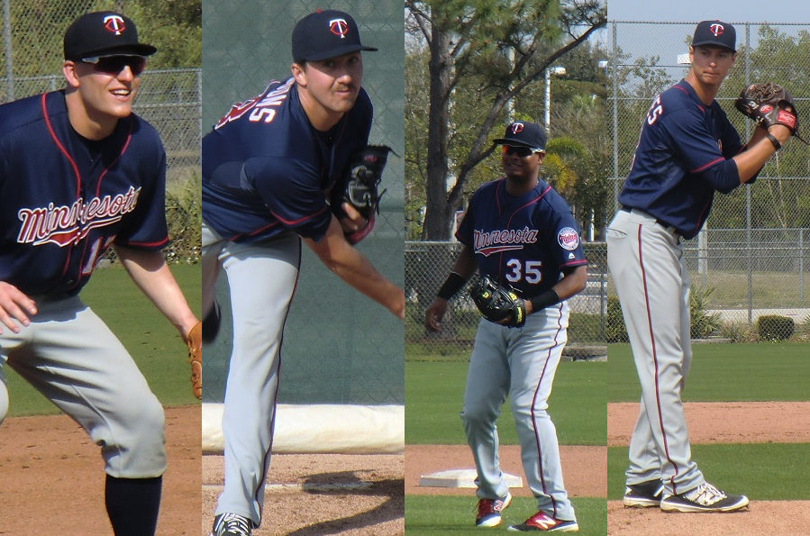 More information about "Twins Minor League Report (5/27): No-Hit Bids, Shutouts, And Wins"