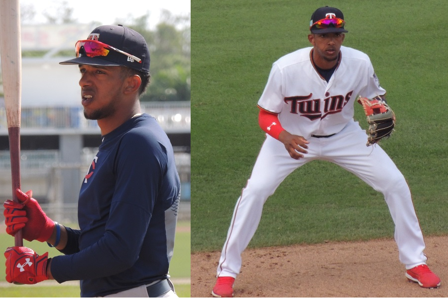 More information about "Injuries Have Been Huge, Unfortunate Story of Twins Minor League Season"