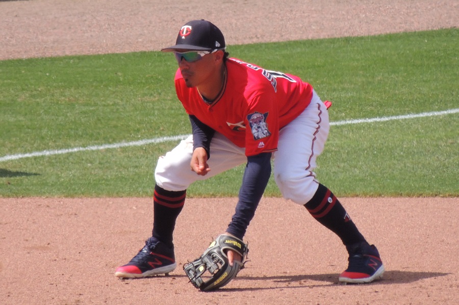 More information about "Twins Minor League Report (7/13): Bats Bats Bats"